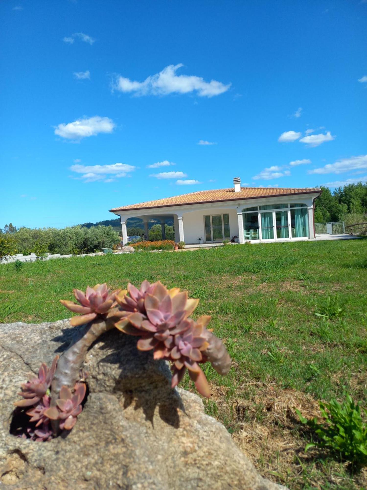 Agriturismo B&B Mares E Montes De Marrante Siniscola Exteriör bild
