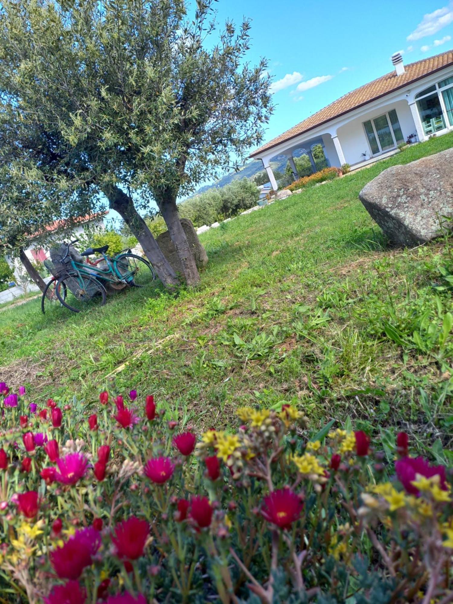 Agriturismo B&B Mares E Montes De Marrante Siniscola Exteriör bild